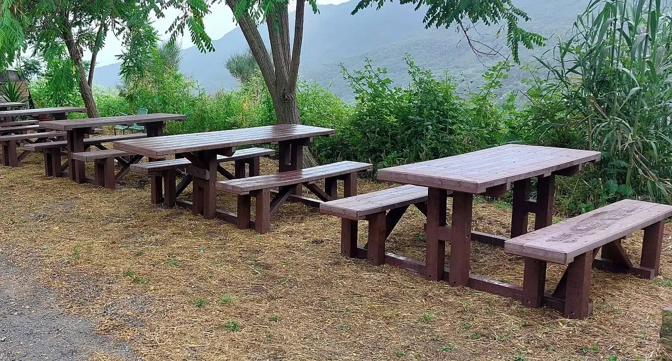 tavolo picnic con panca in plastica granero  logisto.jpg