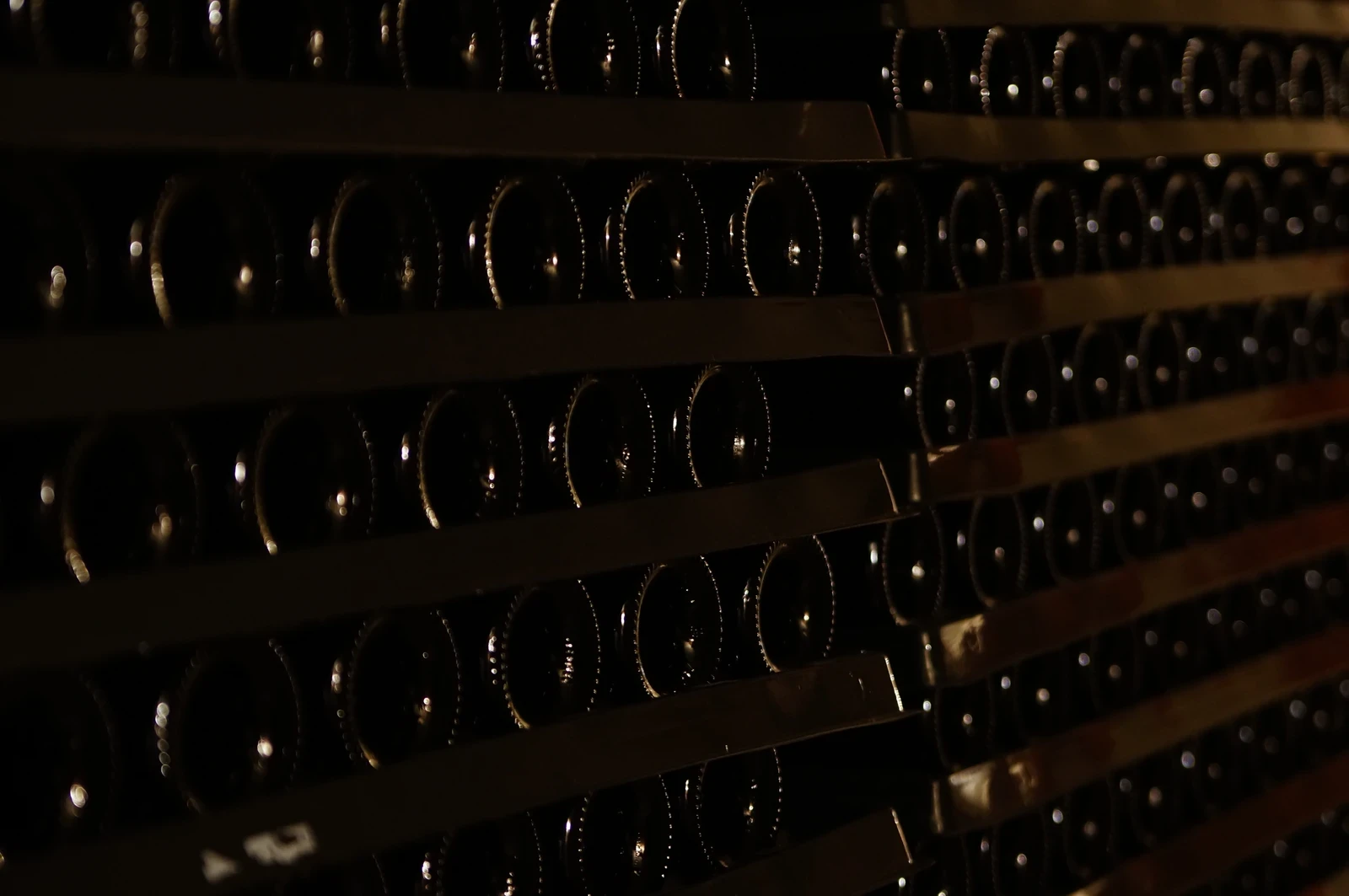 interfalde vinplast in plastica riciclata stoccaggio del vino 7 logisto